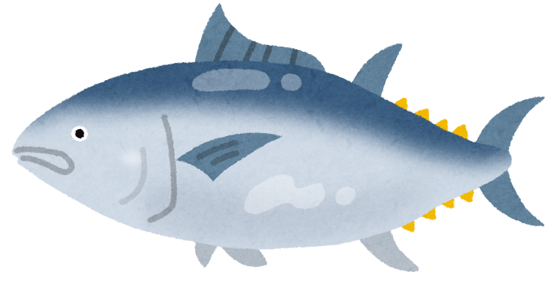 クロマグロ釣りに関してのご案内