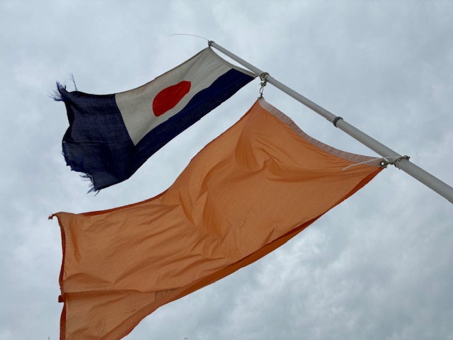 🌊 いよいよ開幕！2026年ファミリーヨットレースのご案内 🌊